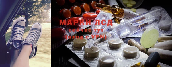 мяу мяу мука Аркадак