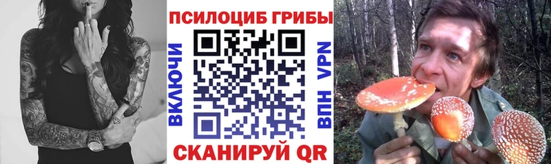 наркошоп  Новая Ладога  Псилоцибиновые грибы GOLDEN TEACHER 